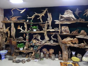 双鸭山市第八届工艺美术创新作品暨旅游纪念品展销会隆重开幕，本土工艺精品荟萃展风采